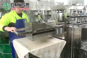豆腐干生產線生產現場